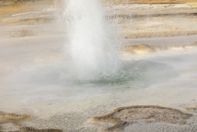 Old Faithful Geyser Area Yellowstone 2024